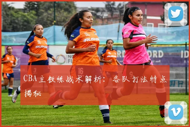 CBA主教练战术解析：各队打法特点揭秘